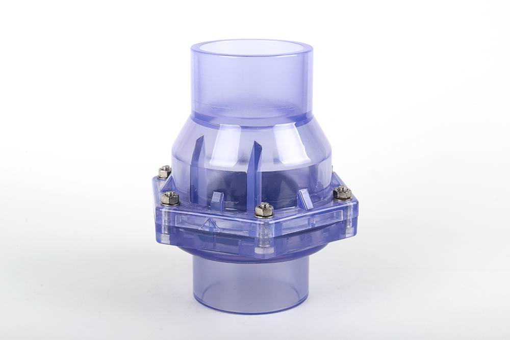 塔洋镇透明翻板式止回阀